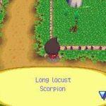 animal_crossing_ds_img6.jpg