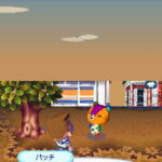 Animal_crossing_wild_World_ds11.jpg