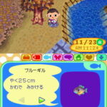 Animal_crossing_wild_World_ds13.jpg