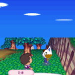 Animal_crossing_wild_World_ds5.jpg