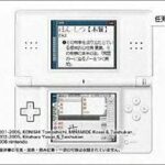 kanji_nintendo_ds_dictionary_game.jpg