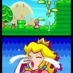 super_princess_peach_ds_img_0.jpg