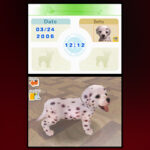 nintendogs_dalmatien_et_ses_amis.jpg