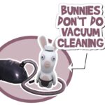 Rayman_Bunny_vacuum.jpg