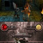 pirate_des_caraibes_ds_img6.jpg