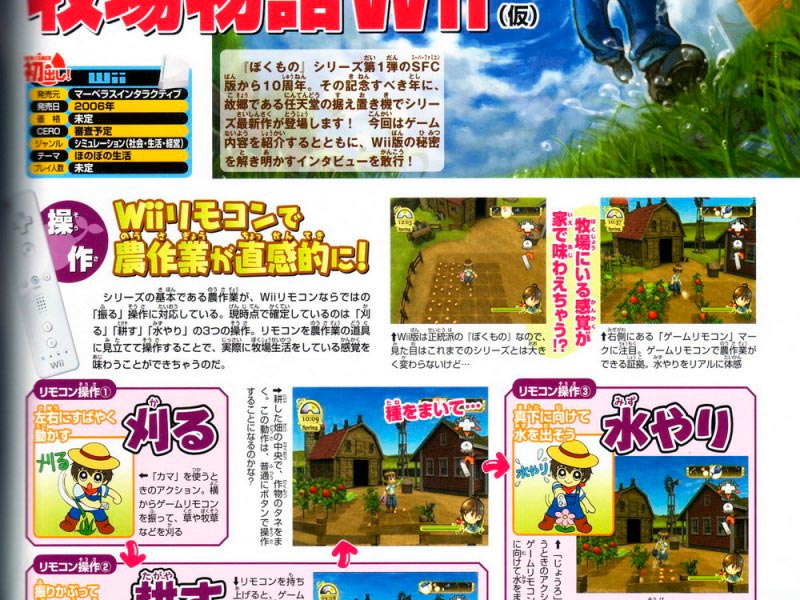 n_dream_harvest_moon_wii_scan.jpg