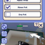 Sims_2_Animaux_Cie_ds.jpg