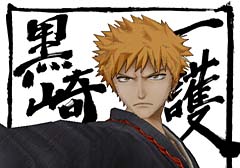 bleach_wii.jpg