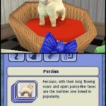 Sims_2_Animaux_et_Cie.jpg