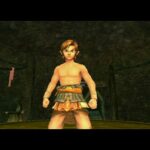 the-legend-of-zelda-twilight-princess-2006Wii5.jpg