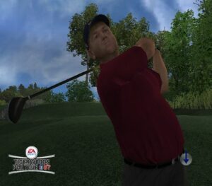 tiger_wood_wii_0.jpg
