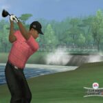 tiger_wood_wii_1.jpg