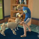 SIMS2PwiiSCRNindoor2DogsWM.jpg