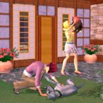 SIMS2PwiiSCRNotdrDgRbCtHgWM.jpg