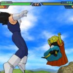 Budokai_Tenkaichi_310.jpg