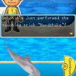 Mon_Ami_le_Dauphin2.jpg