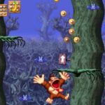 Donkey_Kong_Jungle_Climber23.jpg