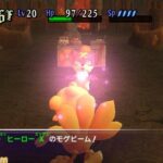 chocobo_wii_000.jpg