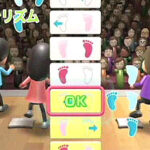 Wii_Fit_05.jpg