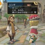 Final_Fantasy_Crystal_Chronicles_My_Life_as_a_King16.jpg