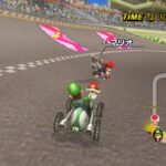 Mario_Kart_Wii_-_19.jpg