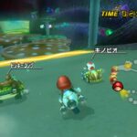 Mario_Kart_Wii_-_28.jpg