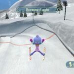 Wii_Ski1.jpg