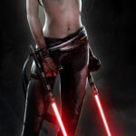 Star_Wars_The_Force_Unleashed_wii7.jpg