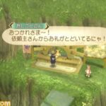 Tales_of_Symphonia_Dawn_of_the_New_World_-_Wii3.jpg