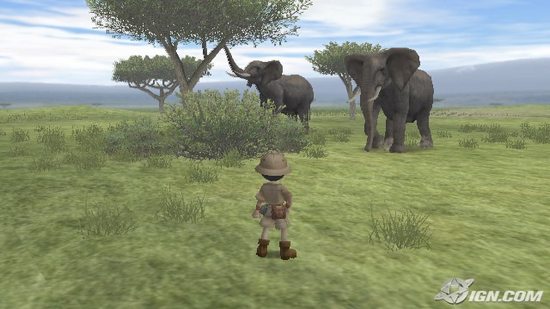 Images pour des Animaux Étonnants i1