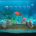 1634_22755_My_20Aquarium.jpg