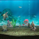 1634_22758_My_20Aquarium.jpg