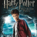 Harry_Potter_et_le_prince_de_sang_melee_box.jpg