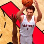 bargnani_shot_cc2.jpg