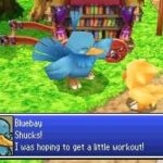 chocobo_tales_ds0.jpg