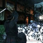 tenchu4wii10.jpg