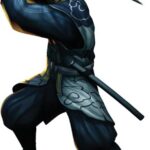 tenchu4wii27.jpg