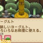 Harvest_Moon_Welcome_to_the_Wind_Bazaar1.jpg