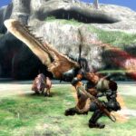 Monster_Hunter_3_Tri_12.jpg