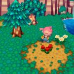 animal_crossing_26.jpg