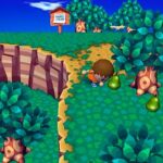 animal_crossing_27.jpg