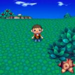 animal_crossing_35.jpg