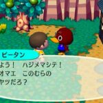 animal_crossing_45.jpg