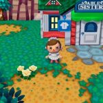 animal_crossing_47.jpg