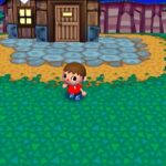 animal_crossing_55.jpg