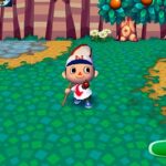 animal_crossing_57.jpg