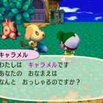 animal_crossing_65.jpg