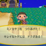 animal_crossing_67.jpg