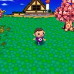 animal_crossing_68.jpg