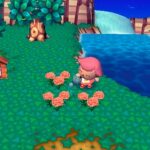 animal_crossing_70.jpg